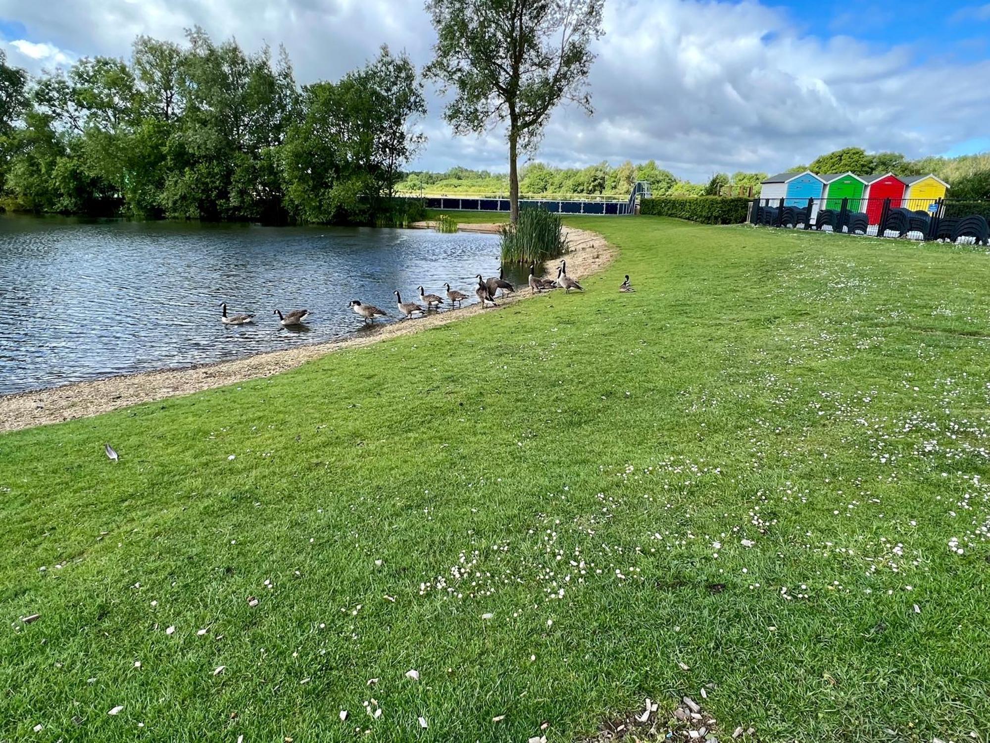 Bluebell Lodge, Dog Friendly South Cerney Εξωτερικό φωτογραφία